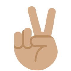 Peace hand icon